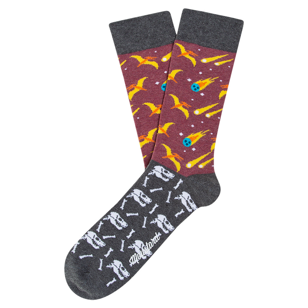 Jurassic Socks Box