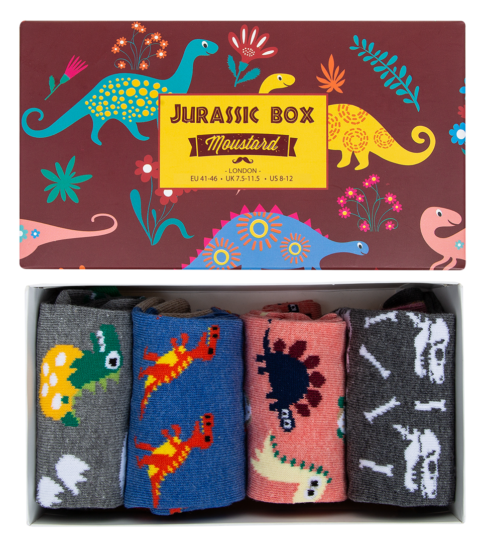 Jurassic Socks Box