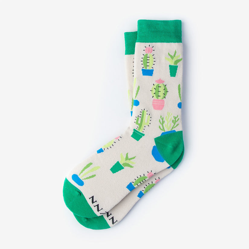 Succy Socks