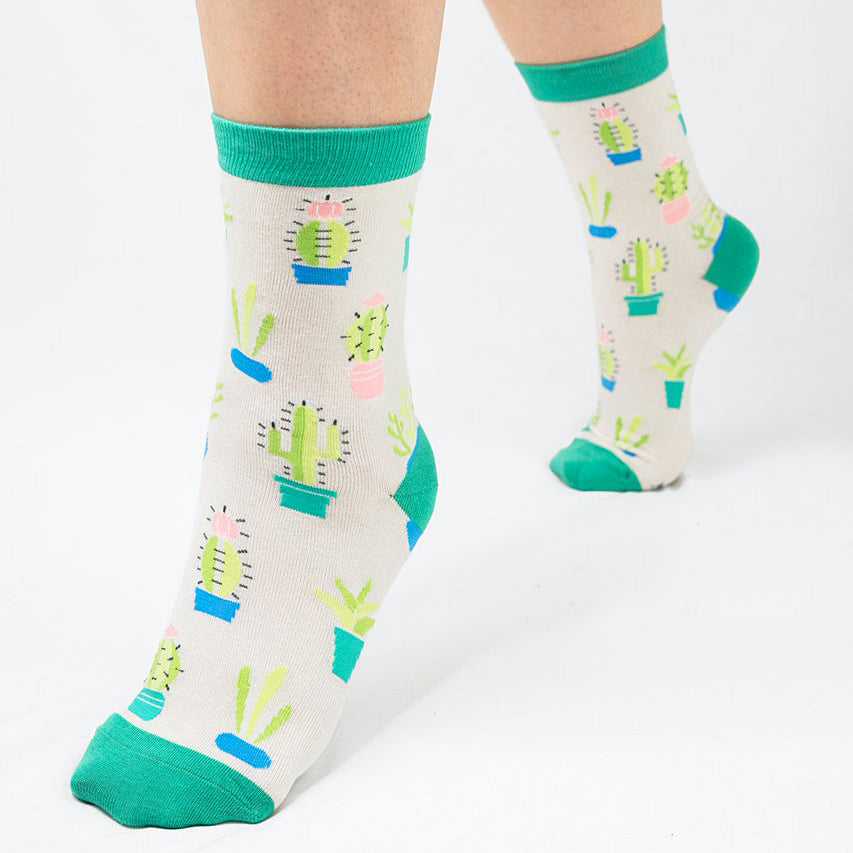 Succy Socks